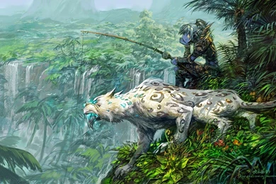 Wow Wallpapers Night Elf