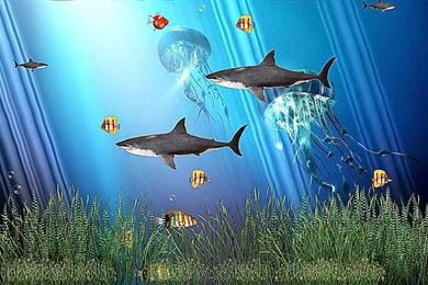 Aquarium Screensaver Windows 8