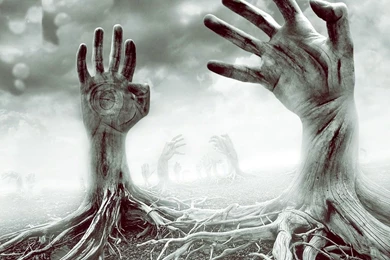 Unique Image Collection (40+)