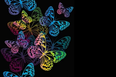 Butterfly Design Ii   (