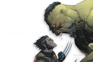 Hulk Vs Wolverine   Comics Photography Desktop Wallpapers