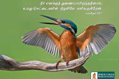 Wallpapers Beble Jesus Bible Verse Tamil Free 800x600