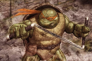 Michaelangelo From Tmnt Wallpaper Backgrounds