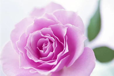 Beautiful Wallpapers Free Download For Mobile,desktop Wallpapers