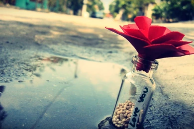 Romantic Hd Wallpapers