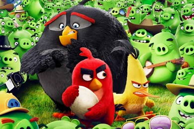 2016 Angry Birds Animation Movies Wallpapers