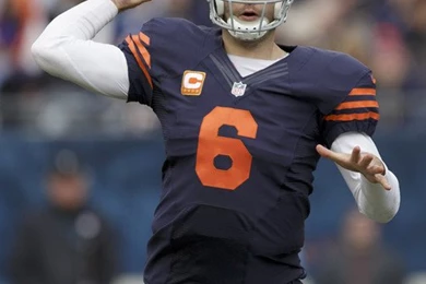 Cutler Bears Related Keywords & Suggestions   Cutler Bears Long ...