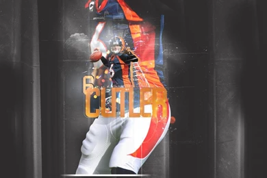 ProFootballWallpaper.com :: The Best NFL Team Desktop Wallpapers ...