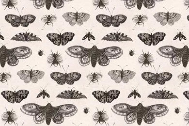 Vintage Botanical Illustration Fabric, Wallpapers & Gift Wrap ...