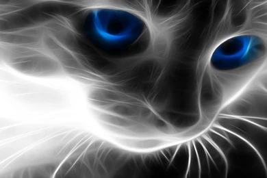 Cats,fractalius Cats Fractalius 1280x800 Wallpapers – Cats ...