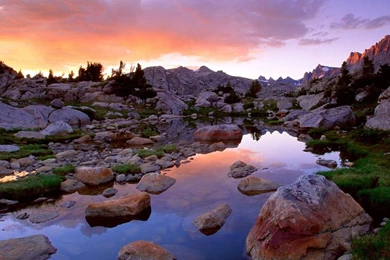 Cool And Beautiful Nature Desktop Wallpapers Image 1280x800 ...