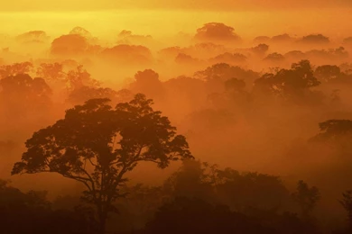 Natural Scenery Desktop Wallpapers Picture 1280x800 Widescreen Hd ...