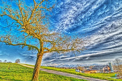 Download Backgrounds Wallpapers   Wallpapers Zone