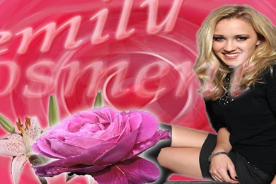 Osment Related Keywords & Suggestions   Osment Long Tail Keywords