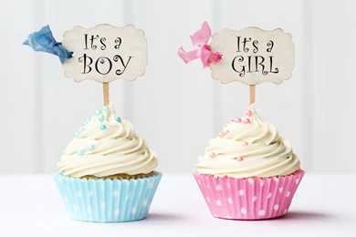 Cupcakes, Cute, Cream, It's A Boy, It's A Girl, Hd Wallpapers