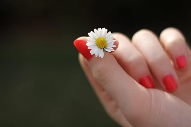 A Girl With A Car In A Travel HD Wallpapers. 4K Wallpapers