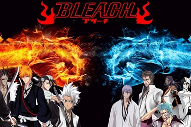 Bleach 14 Wallpapers High Resolution   HD Wallpaperd