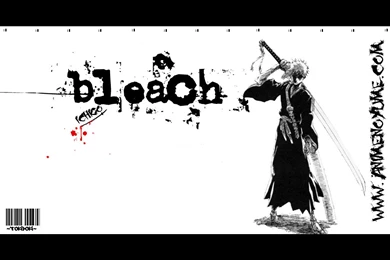 Bleach Wallpapers