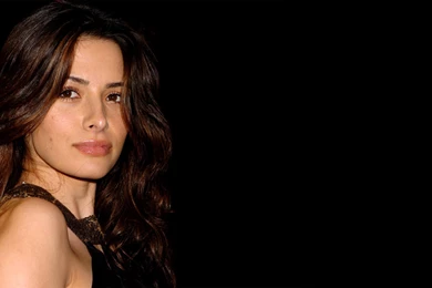 Sarah Shahi Beautiful HD Wallpapers (2015)