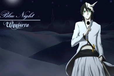 Bleach Espada Ulquiorra Cifer Hueco Mundo 1280x960 Hd Wallpapers ...