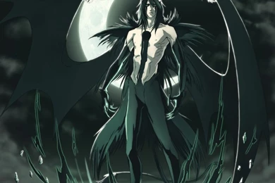Bleach,Espada Bleach Espada Ulquiorra Cifer 1200x1200 Wallpapers ...