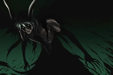 Bleach,Ulquiorra Cifer Bleach Ulquiorra Cifer 1766x1300 Wallpapers ...