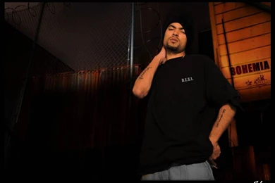 Wallpapers Bohemia Hd Arena 1024x768