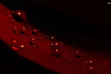 Red Wine Wallpapers Wallpapers Cave