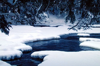 Winter Wonderland   Free Large Images