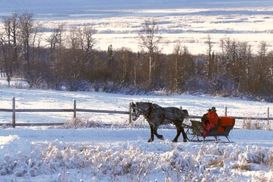 1024x768 Winter Wonderland Desktop PC And Mac Wallpapers