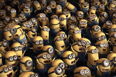Funny Despicable Me Minions Wallpapers Hd Wallpapers Minion Funny ...