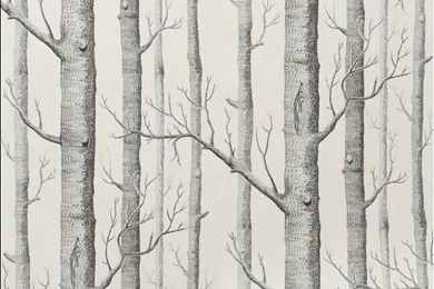 Aliexpress.com : Buy Single Faucet Birch Tree Pattern Non Woven ...