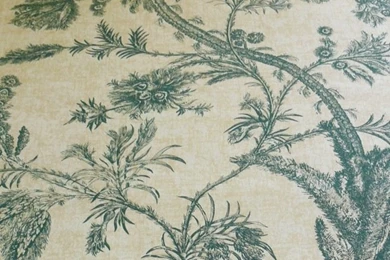 SCALAMANDRE FERN & THISTLE WALLPAPER SINGLE Roll   $40.00 : Silk ...