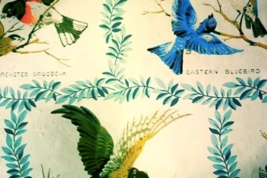 Spring Is Approaching: 1960s Vintage Bird Wallpapers