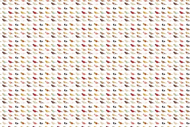 Coolest Vintage Bird Wallpapers R53   2016wallpaperhd.site