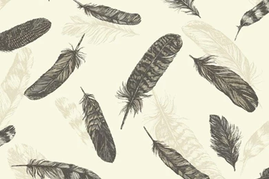 Arthouse Vintage Plume Bird Feather Pattern Vinyl Wallpapers 252800