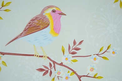 Wallpapers Pictures Photos: Vintage Bird Pictures