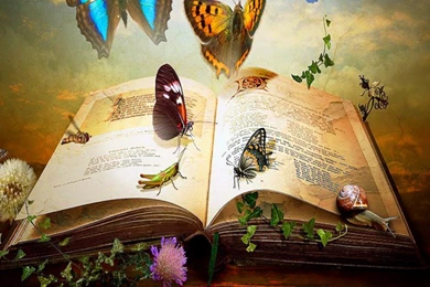 The Book Of Knowledge Computer Wallpapers, Desktop Backgrounds ...