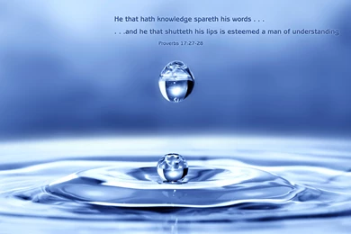 Proverbs 17:27   Free Desktop Background, Nature & Bible