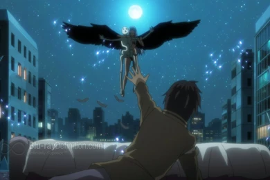 Eden Of The East Blu ray Review