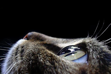 Wallpapers X Dizorb Hd And Design Resources 1024x600