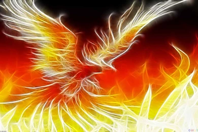 Phoenix 1920x1200 HD Wallpapers