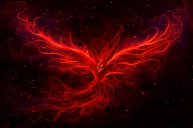 Download Free HQ Phoenix Wallpapers   Hqwallbase.pw