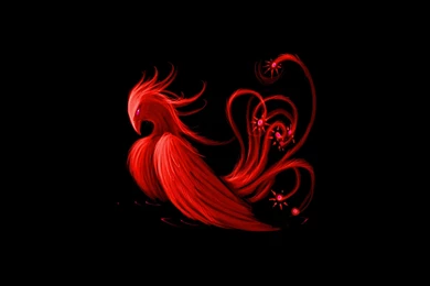 Phoenix   Fantasy Wallpapers (28046314)   Fanpop