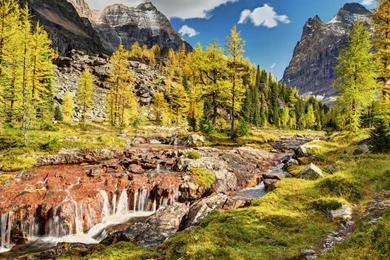 Nature Wallpapers   HD – HdCoolWallpapers.Com