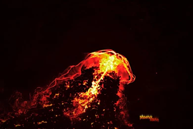 Phoenix Rising Wallpaper Backgrounds