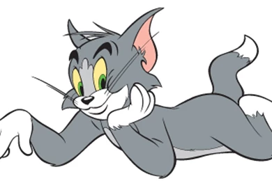 Tom And Jerry On Pinterest