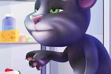 My Talking Tom   Android Apps On Google Play