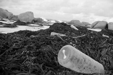 Wallpapers Nature > Wallpapers Seas Oceans Beaches Pollution ...