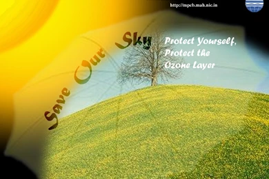 Maharashtra Pollution Control Board